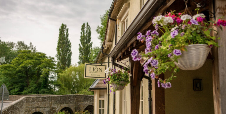 lion leintw 768x389