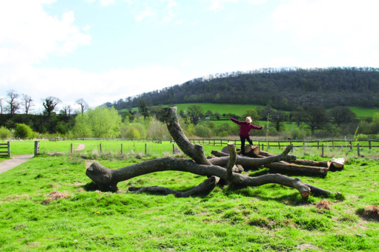 Climbing logs 768x512