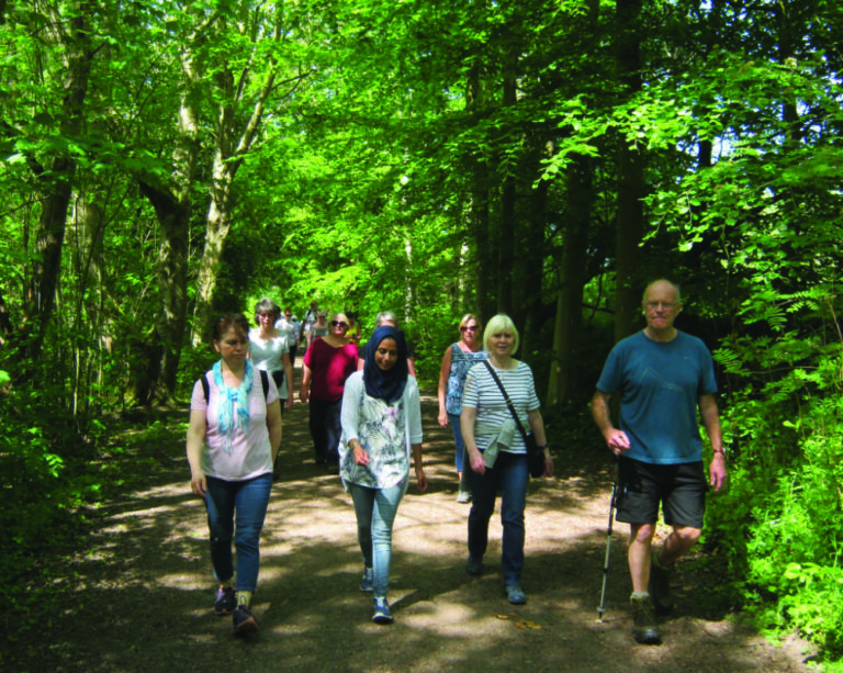 Paul Riley Mersey Valley Walk 2 768x613