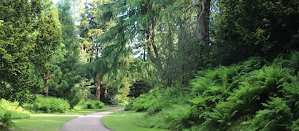 biddulphggpinetum