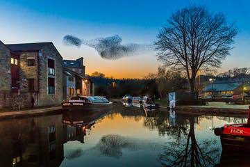 canaltrip