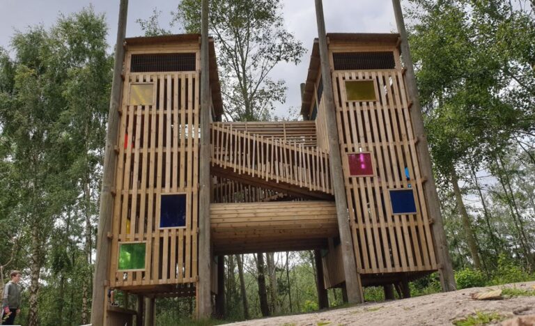 Activity Trail 768x468