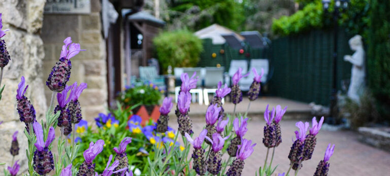 Castle green bed and breakfast matlock v17 768x347