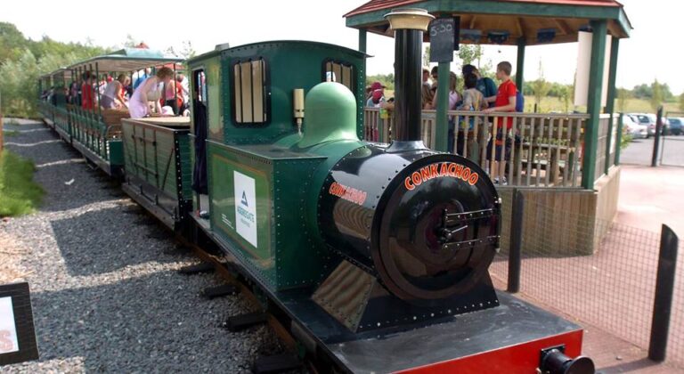 Conkachoo Train Conkers Family Day Out 768x420
