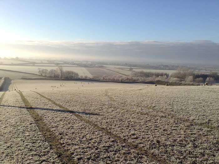 Frosty Morning 1920w