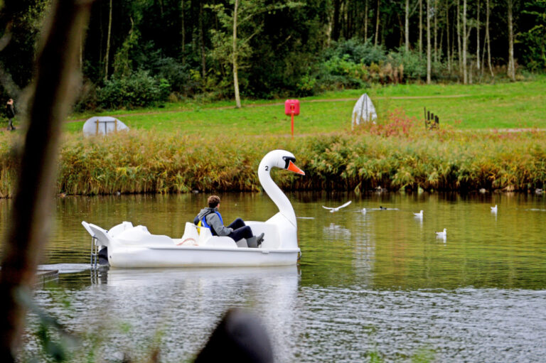 Swan Pedalos on the lake at CONKERS 768x511