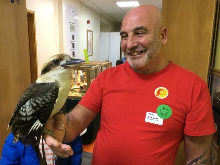 bch kookaburra 2 768x576