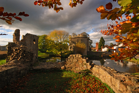 image 31