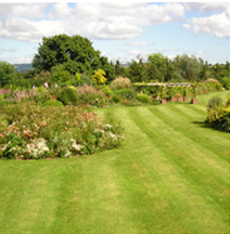 image 75