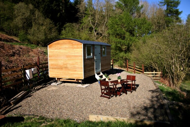 monstay2 768x512