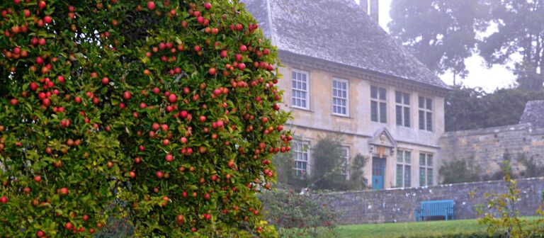snowshill autumn web 768x336