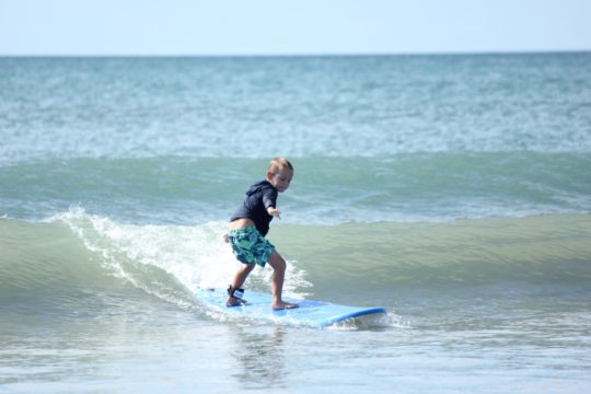 surf 1411688