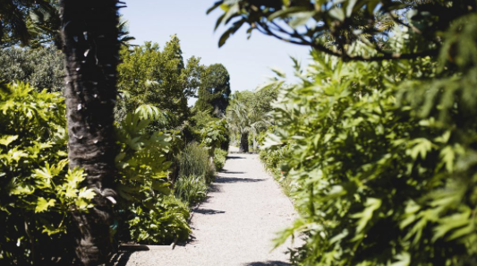 The Walled Gardens of Cannington & Tea Rooms - County Signpost