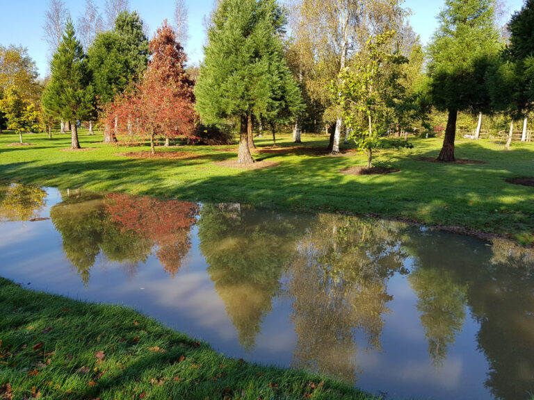 Bluebell pond 768x576