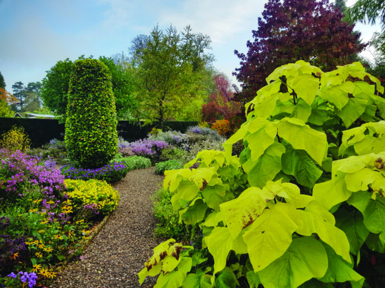 NURSERY GARDEN TOP 768x576