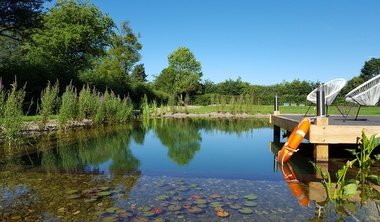 Natural swimming Pond 380x222 1
