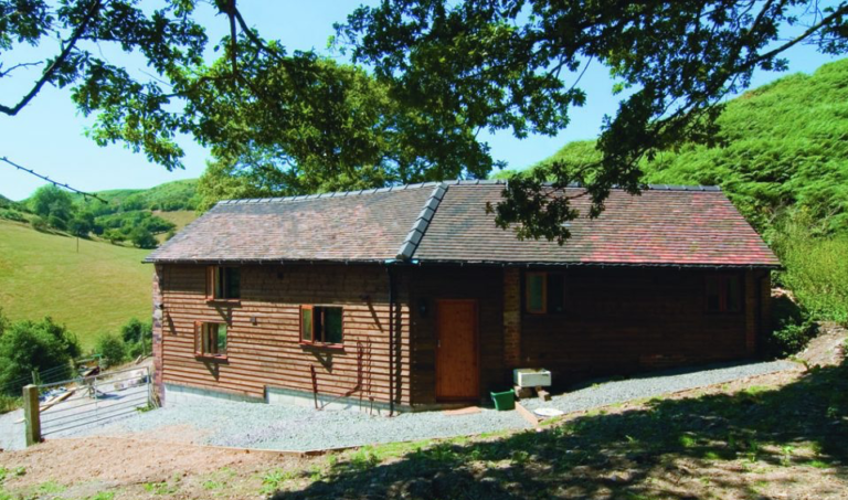 bunk1 768x453
