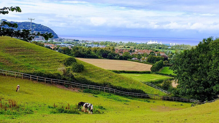 minehead 768x432