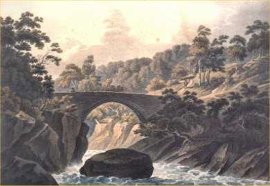 bont Tyloge