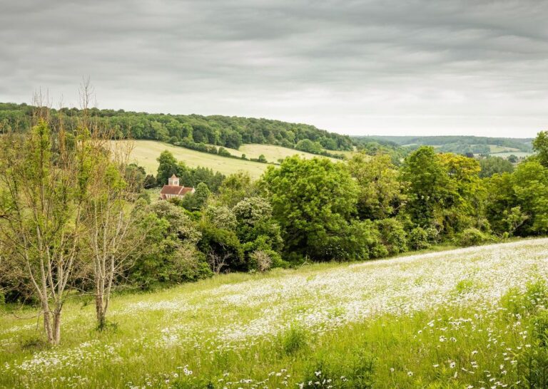 chilterns 768x546