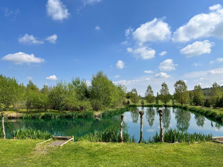 Fishing Lakes April 2022 2 768x576