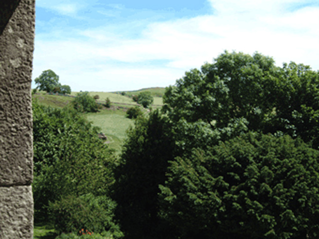 Kingview