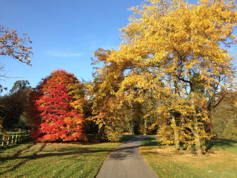 arboretum 02 11 2016 1 scaled 1 768x576