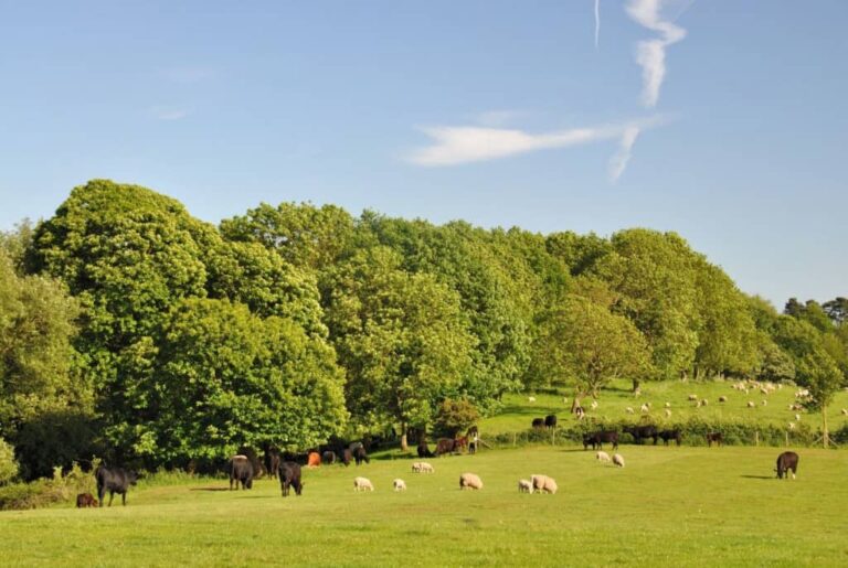 fordhall farm 1024x686 1 768x515