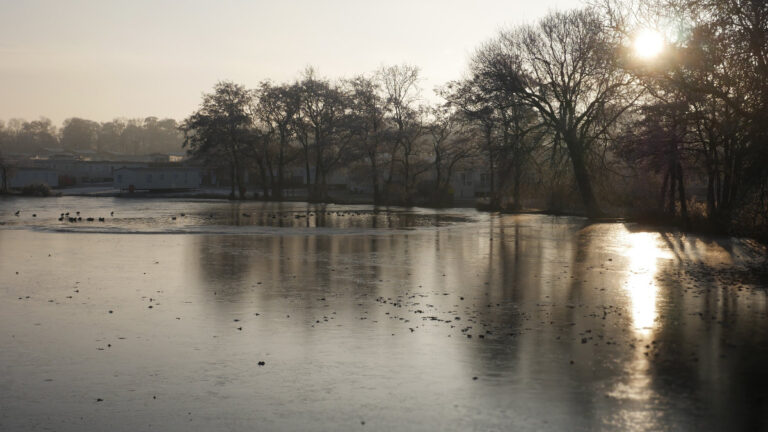 2022 12 Winter 586 EDITED 768x432