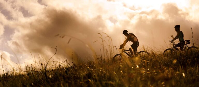 BIKES2.x1920 768x336