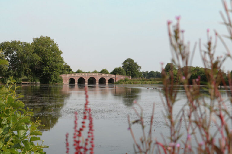 Bridge 768x512