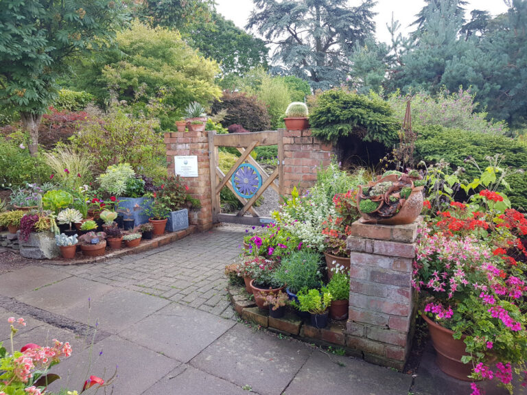 Daisy Gate 1 768x576