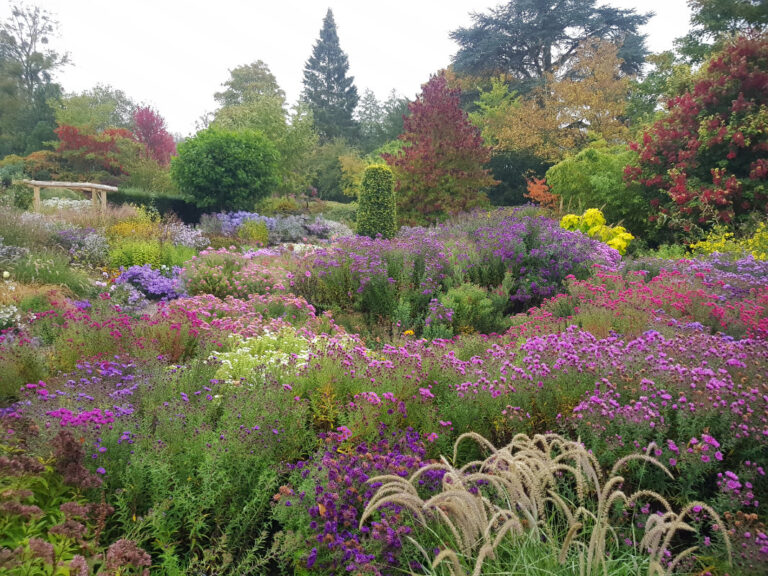 Herbaceous borders 1 768x576