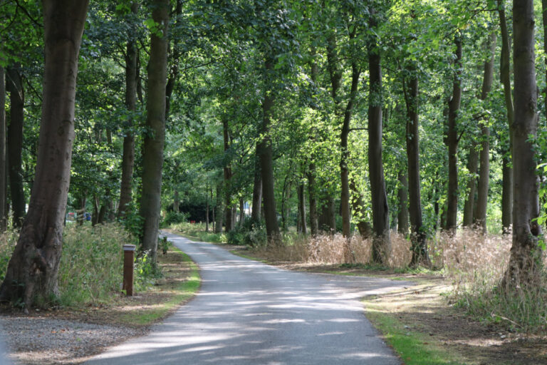 IMG 2519 768x512