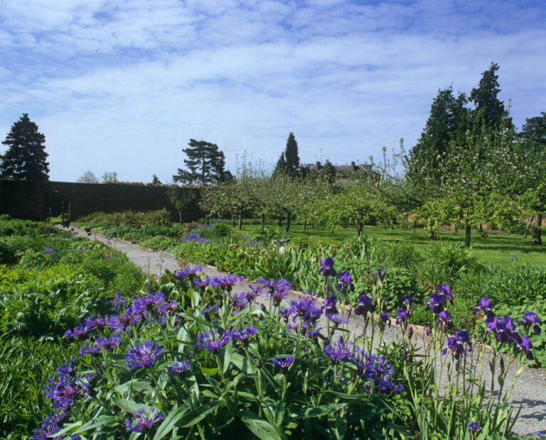 The Walled Garden in May at Berrington Hall Herefordshire National Trust Images DavidSellman 768x620