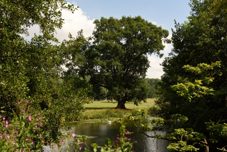View of the parkland and lake at Berrington Hall Herefordshire MNational Trust Images JohnMillar 768x513