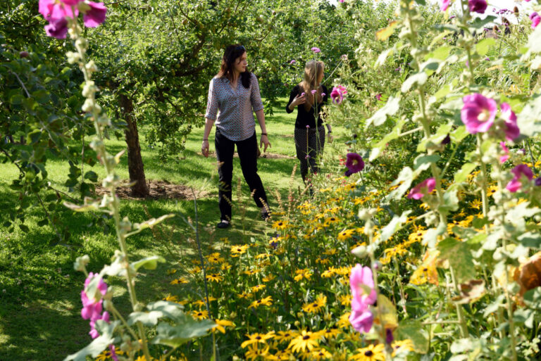 Visitors walking in the walled garden at Berrington Hall Herefordshire National Trust Image JohnMillar 768x513