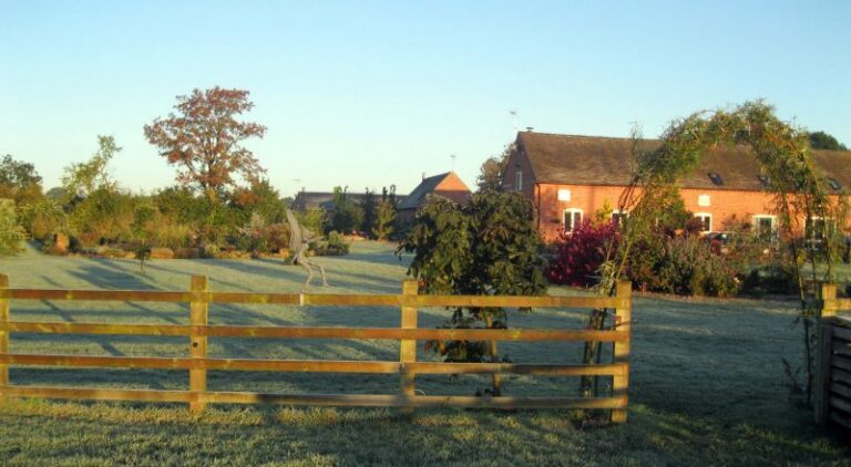 accom page 800x440 1 768x422