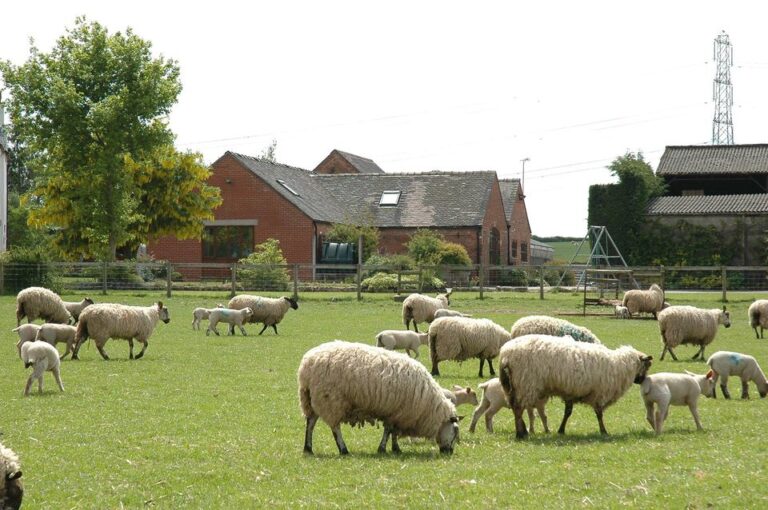 oakhill1 768x510