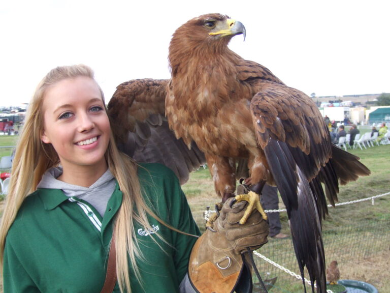 Ridgeside Falconry 3 768x576