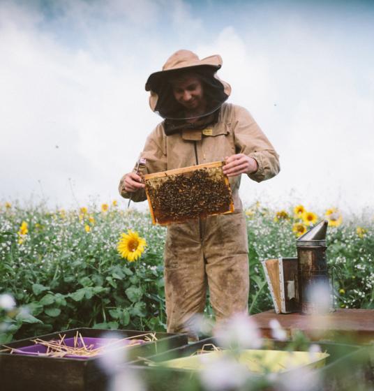 beekeeper1@2x 536x560 c default