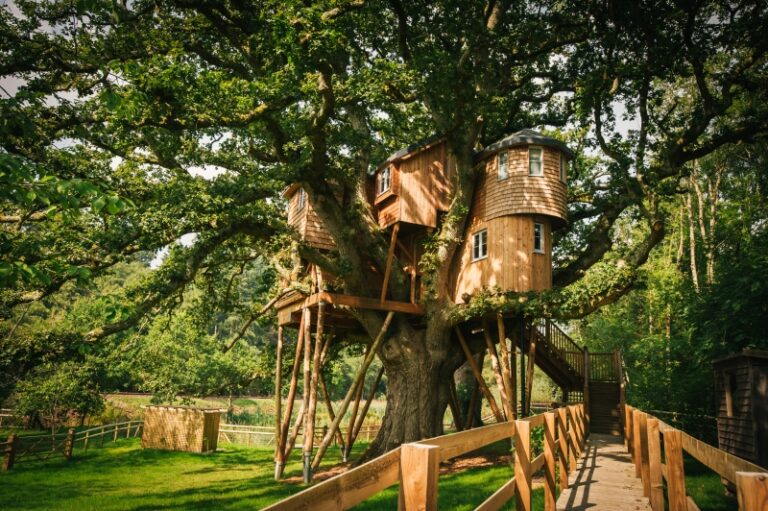 treetops treehouse best DSC 8558 768x511