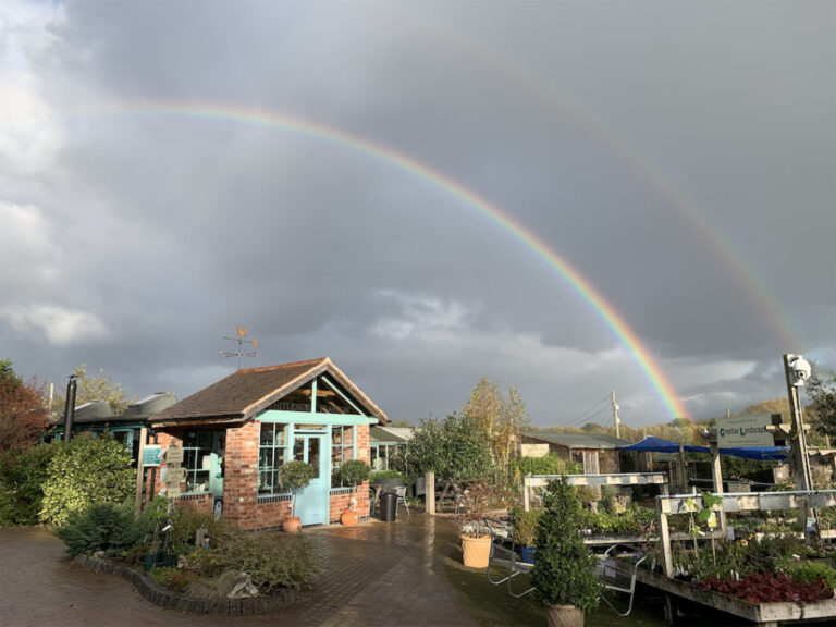 NurseryTearoom 1 768x576