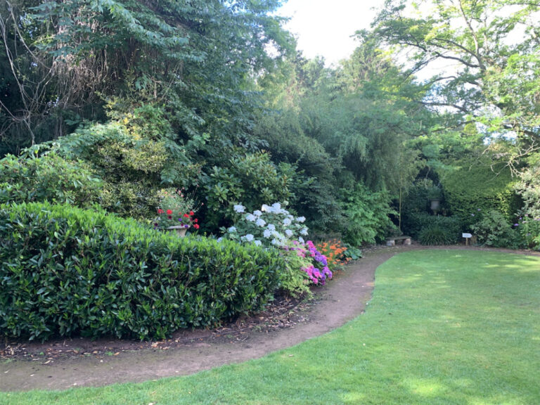 Shady Border 1 768x576