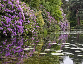 cheshire tatton 5