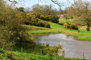 image 27