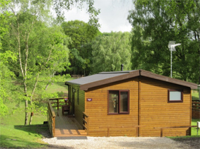 staffs silvertrees3