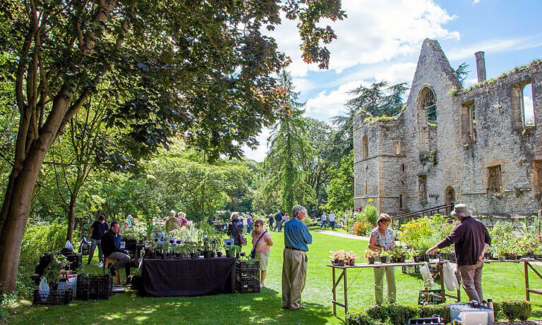 home plant hunters fair 768x461