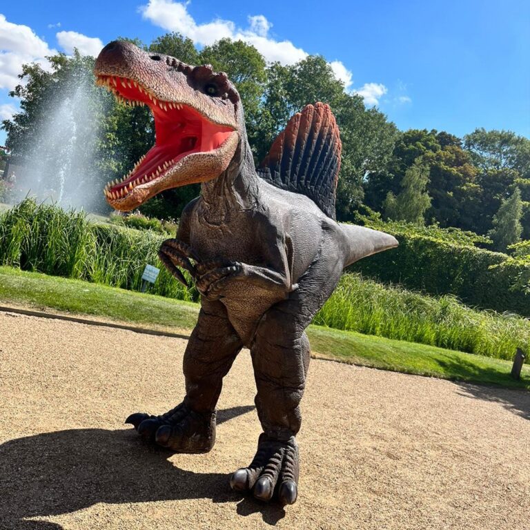 Dinosaur 2 768x768