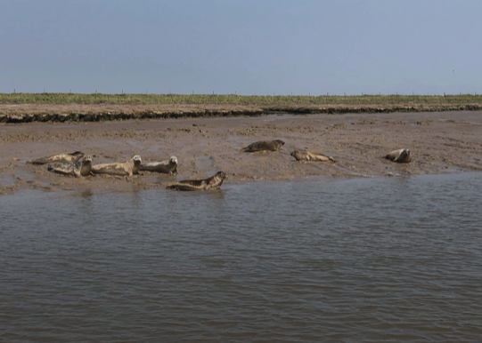orford2